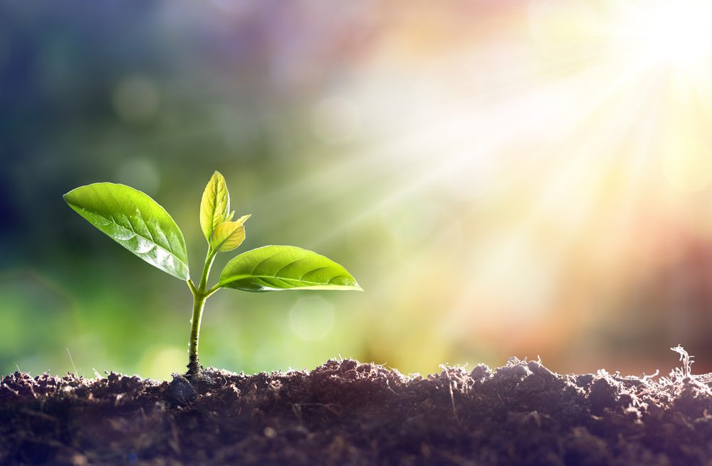 Best Business Practices: Positive Visions