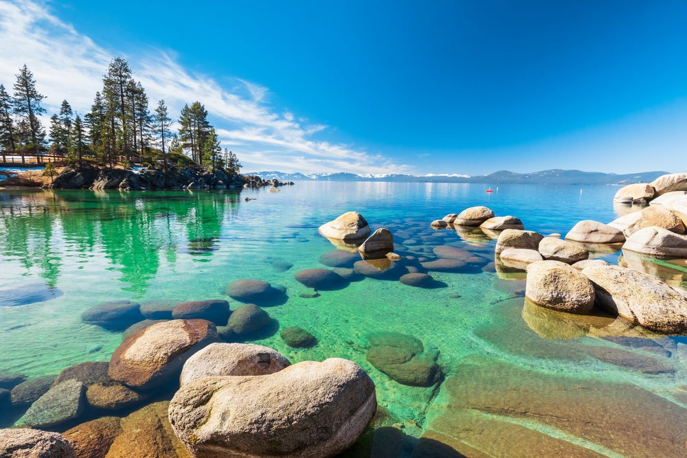 Explore Northern California with Spring Day Trips